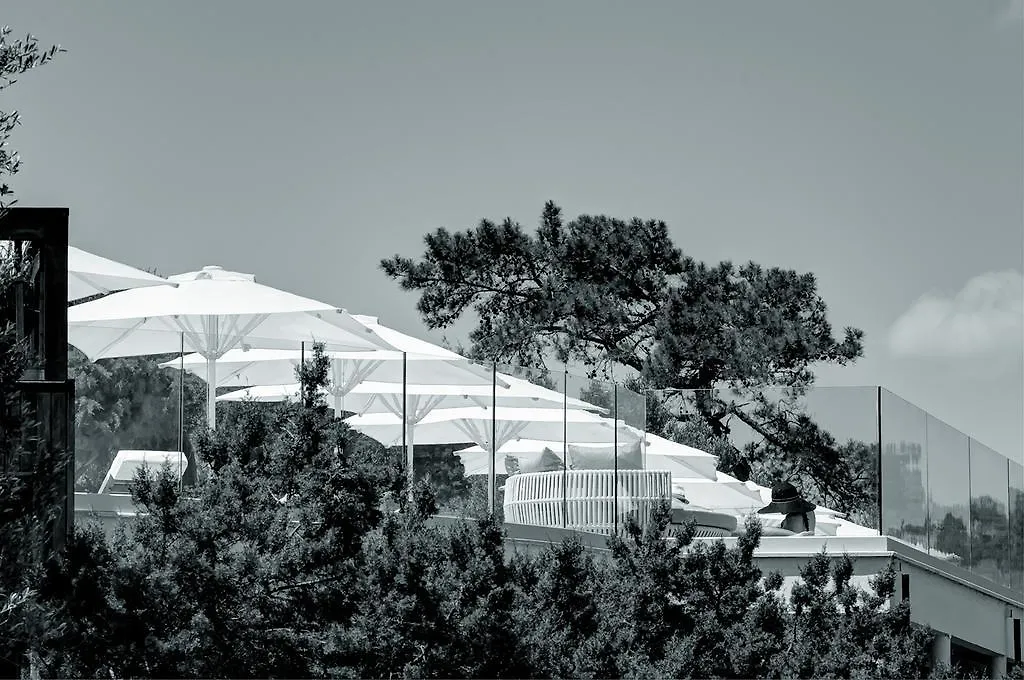 Sarpedor Boutique Hotel Torba