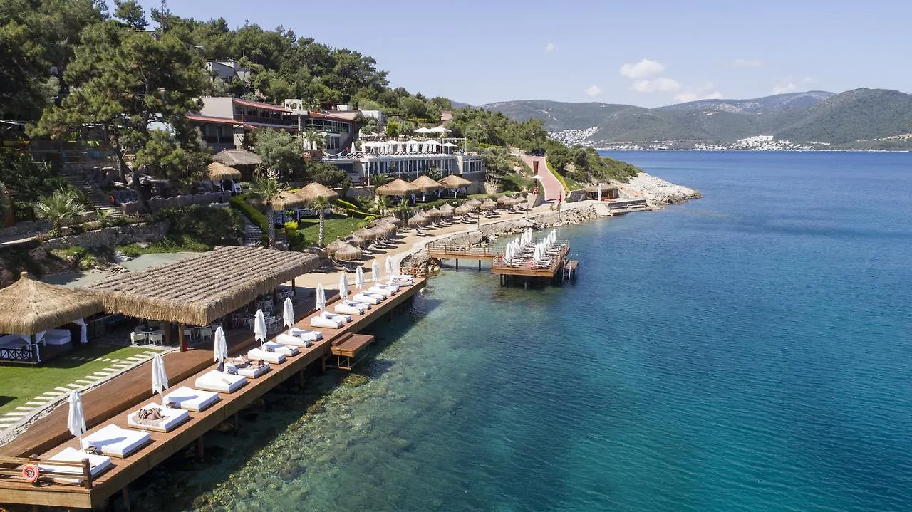 Sarpedor Boutique Hotel Torba