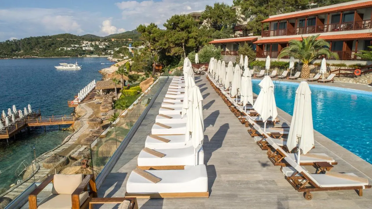 Sarpedor Boutique Hotel Torba