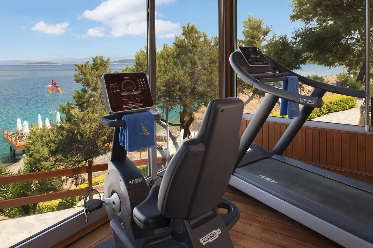 Sarpedor Boutique Hotel Torba