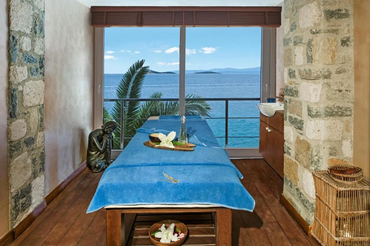 Sarpedor Boutique Hotel Torba 4*,