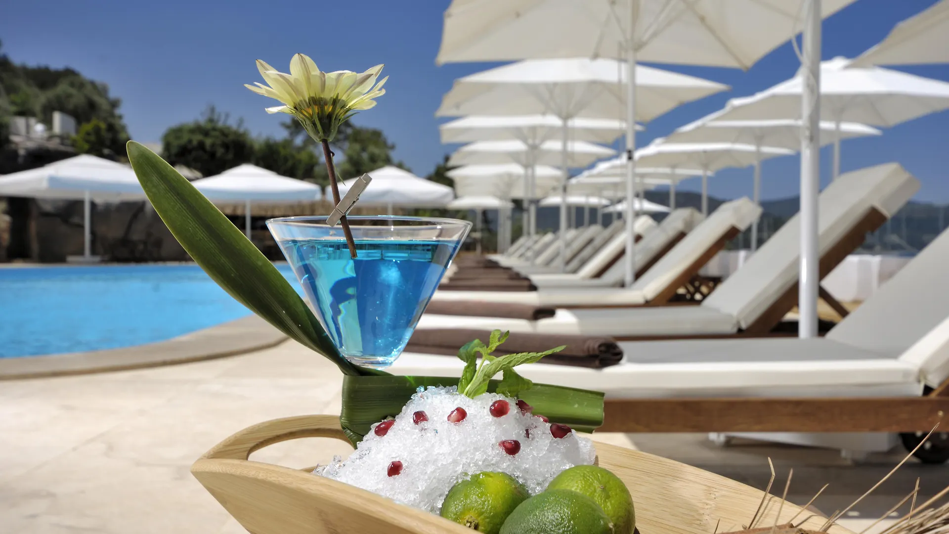 Sarpedor Boutique Hotel Torba