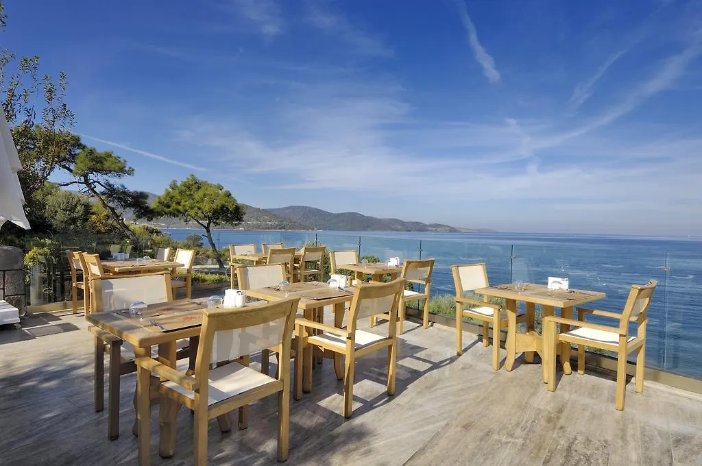 Sarpedor Boutique Hotel Torba